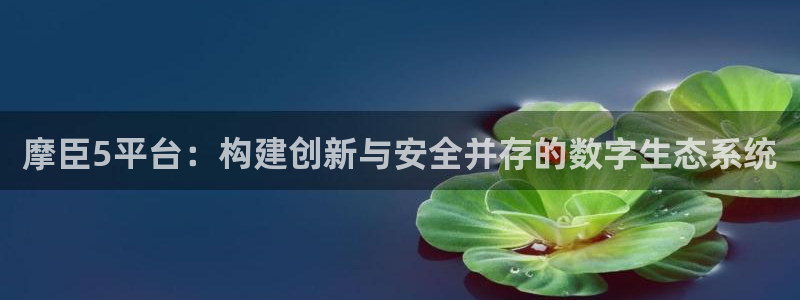 门徒娱乐官网地址：摩臣5平台：构建创新与安全并存的数字生态系统