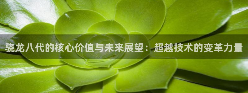 门徒娱乐平台官网版下载：骁龙八代的核心价值与未来展望：超越技术的变革力量