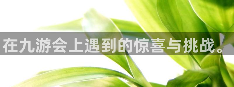 门徒娱乐登陆官网：在九游会上遇到的惊喜与挑战。