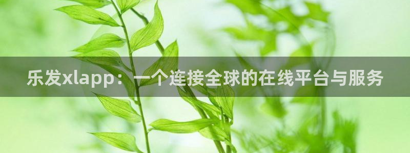 门徒平台登录地址：乐发xlapp：一个连接全球的在线平台与服务