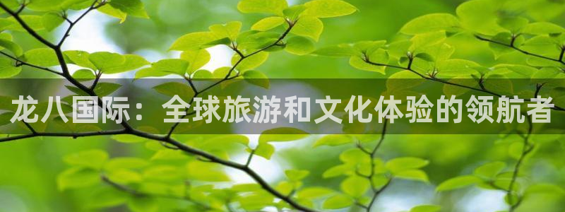 门徒娱乐.ccmpc登录：龙八国际：全球旅游和文化体验的领航者