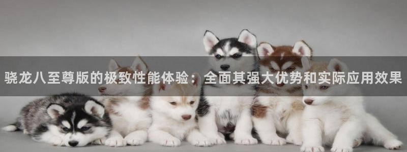 门徒娱乐大厅.马上进入网站.中国：骁龙八至尊版的极致性能体验：全面其强大优势和实际应用效果