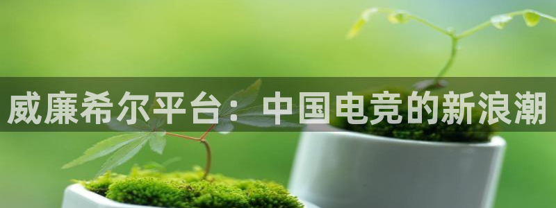 壹号电子娱乐app下载最新版：威廉希尔平台：中国电竞的新浪潮