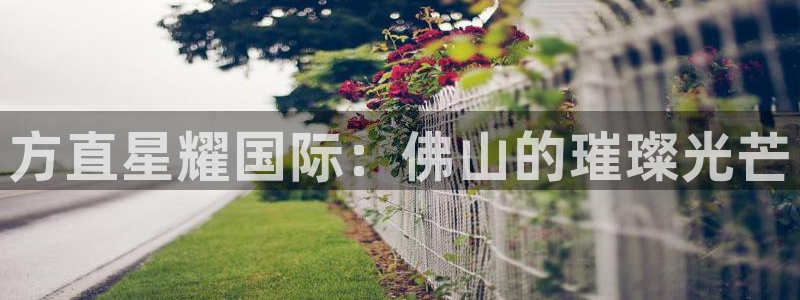 门徒平台代理注册：方直星耀国际：佛山的璀璨光芒