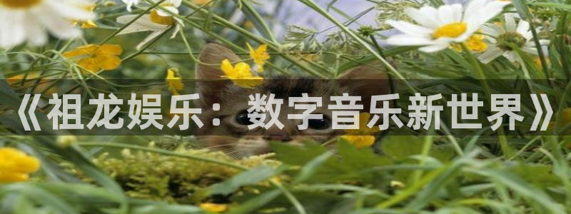 门徒娱乐下载入口：《祖龙娱乐：数字音乐新世界》