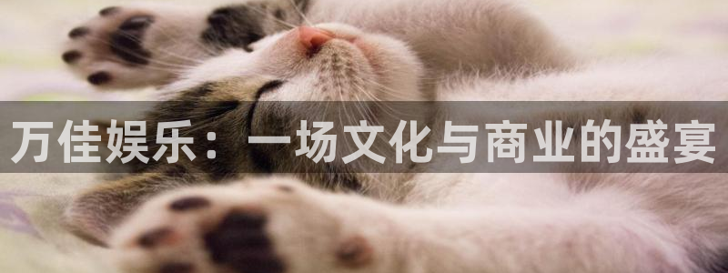 门徒娱乐预测pc在线预测网址：万佳娱乐：一场文化与商业的盛宴