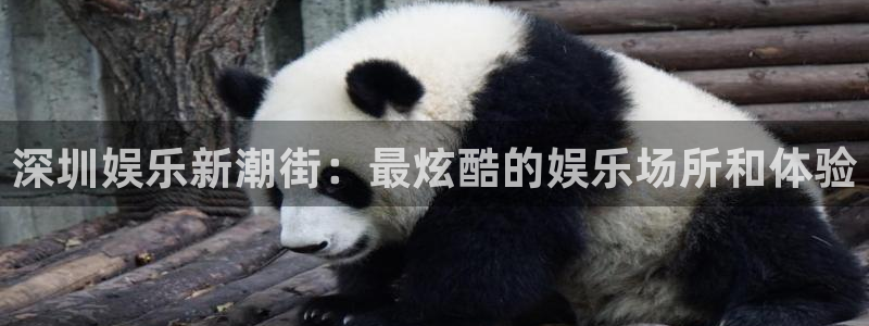 门徒平台登录入口官网注册：深圳娱乐新潮街：最炫酷的娱乐场所和体验