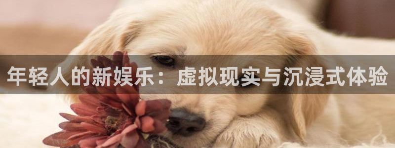 壹号大舞台怎么下载：年轻人的新娱乐：虚拟现实与沉浸式体验