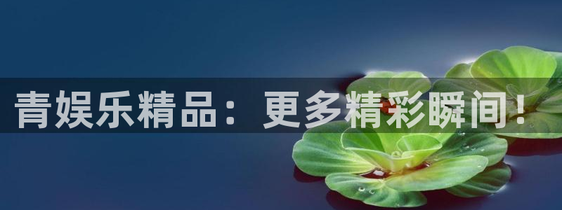 门徒娱乐app 是什么：青娱乐精品：更多精彩瞬间！