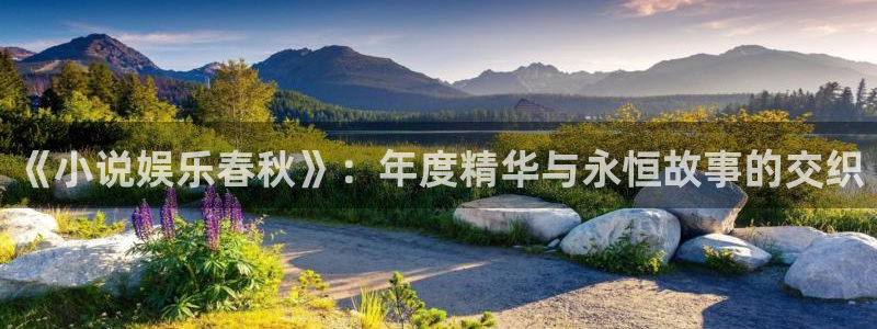 门徒娱乐app下载官网：《小说娱乐春秋》：年度精华与永恒故事的交织